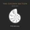 Download track Sectio Aurea (Palindrones Golden Section Remix)