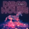 Download track Fly Disco Fly (Night On Disco Mix)