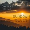 Download track Sundown Blues