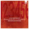 Download track 07 - Concerto No. 6 In B Flat Major, BWV 1051-III. Allegro