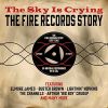 Download track The Sky Is Crying