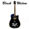Download track Black Widow (Instrumental Version)