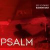 Download track 09. Was Soll Der Aufruhr Und Der Widerstand (Psalm 2)