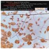 Download track Sonata For Solo Violin In D Major, Op. 115: I. Moderato