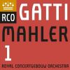 Download track 03. Mahler- Symphony No. 1 In D Major- III. Feierlich Und Gemessen, Ohne Zu Schleppen