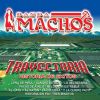 Download track Leña De Pirul