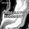 Download track Fast Enigmatic Serenity