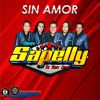 Download track Sin Amor