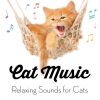 Download track Soft Piano Music For Pets