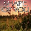 Download track Shape Of You - Tribute To Ed Sheeran And Stormzy (Stormzy Remix; Instrumental Version)