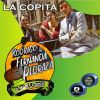 Download track La Copita (Version Andina)