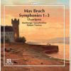 Download track Symphony No. 3 In E Major, Op. 51: II. Adagio Ma Non Troppo