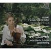 Download track Violin Concerto D-Dur Op. 77 - 3. Allegro Giocoso, Ma Non Troppo Vivace - Poco Piu Presto
