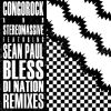 Download track Bless Di'nation (Firebeatz Remix)