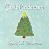 Download track The Spirit Of Christmas
