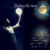 Download track Shooting The Moon