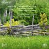 Download track Symphony No. 2 In B Flat Major, D125 1814-15 - III. Menuetto. Allegro Vivace