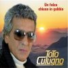 Download track Un Falco Chiuso In Gabbia
