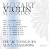Download track Sonata For Violin & Piano No. 14 In D Major, K. 29: Menuetto