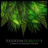 Download track Toolroom Goes Deep 3 (Continuous DJ Mix 2)