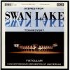 Download track 05. Swan Lake, Op. 20 Act 2'No. 10 Scene (Moderato)