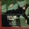 Download track Trio For Piano, Violin And Cello In D Major, Op. 1: I. Allegro Non Troppo, Con Espressione