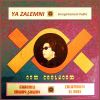 Download track Ya Zalemni (Live)