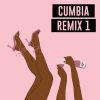 Download track Sal Y Perrea (Remix)