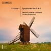 Download track Symphony No. 4 In C Minor, D. 417, 