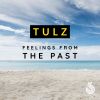 Download track Feelings From The Past (Instrumental Mix)