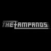 Download track The Zampanos - Way Back Home