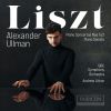Download track Liszt Piano Sonata In B Minor, S. 178 VI. Andante Sostenuto