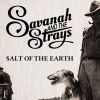Download track Salt Of The Earth