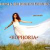Download track Euphoria