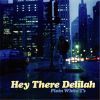 Download track Hey There Delilah (New Version) 