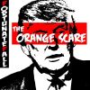 Download track Big Orange