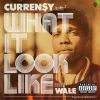 Download track What It Look Like