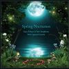 Download track Moonlit Night On A Spring River