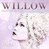 Download track Willow (Drum Beats Drumbeats Mix 118 BPM)