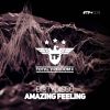 Download track Amazing Feeling (Dub Mix)