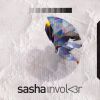 Download track The Healing (Sasha Involv3r Remix)