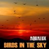 Download track Birds In The Sky (R&B Vocal Lounge Mix)