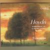 Download track Haydn Symphony No. 7 - Recitativo: Adagio
