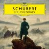 Download track Schubert: Rosamunde, Op. 26, D. 797-Entr'acte No. 3 (Andantino)