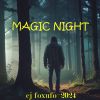 Download track Magic Night