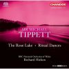 Download track 16. Ritual Dances - First Dance. The Earth In Autumn