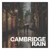 Download track As Steady As Rain