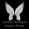 Download track Angels Wings
