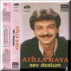 Download track Sev Dostum