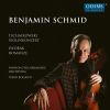 Download track Violin Concerto In D Major, Op. 35, TH 59 III. Finale. Allegro Vivacissimo